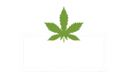 4761283-PhotoRoom.png-PhotoRoom